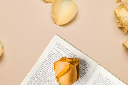 中國傳媒大學在職研究生