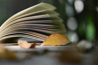 中國傳媒大學在職研究生 中國傳媒大學在職研究生