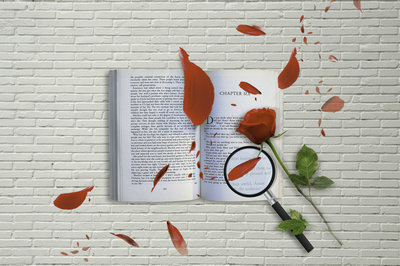 中國傳媒大學在職研究生