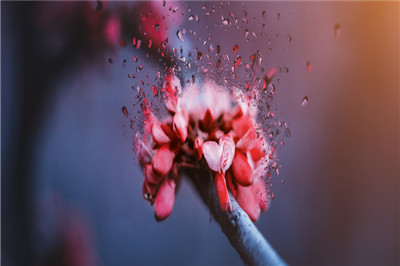 中國傳媒大學在職研究生