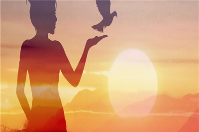 在職研究生 在職研究生