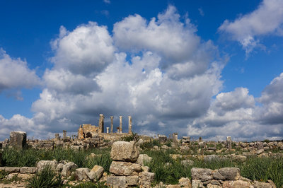 學習專業知識所繳納費用較少 學習專業知識所繳納費用較少