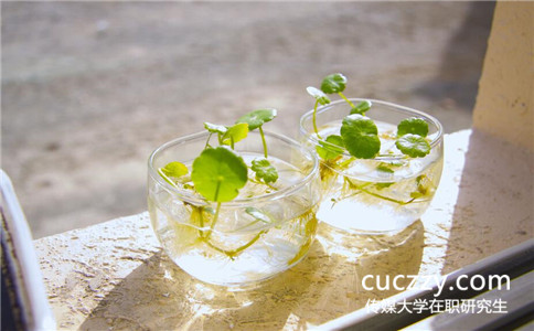 2017年中國傳媒大學在職研究生怎么報名