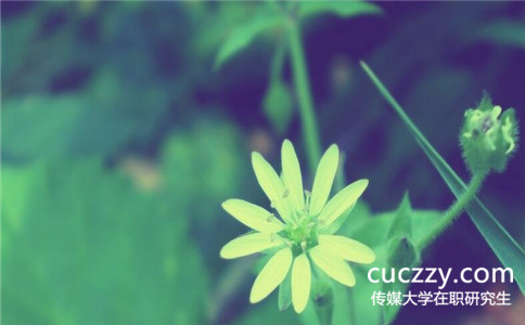 中國傳媒大學在職研究生能跨專業報考嗎