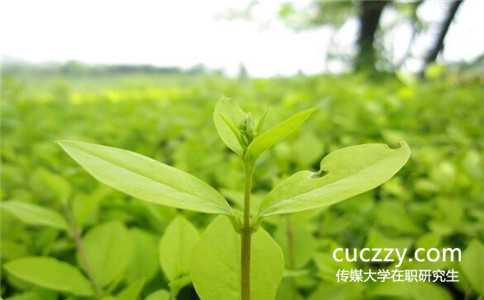 中國傳媒大學免試入學在職研究值得讀嗎