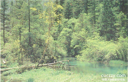 中國傳媒大學在職研究生怎么樣？