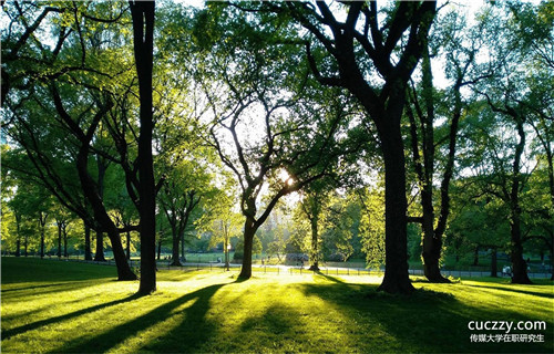 沒有學位可以考中國傳媒大學在職研究生嗎?