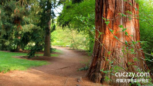 傳媒大學在職研究生與全日制研究生的區別？