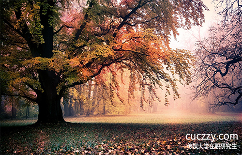 中國傳媒大學在職研究生有哪些熱門專業？