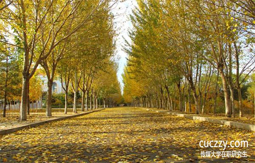 傳媒大學在職研究生含金量怎么樣？