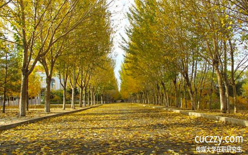 中國傳媒大學在職研究生論文答辯好過嗎? 中國傳媒大學在職研究生論文答辯好過嗎?