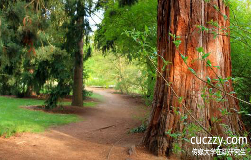 傳媒大學在職研究生同等學力申碩通過率高嗎?