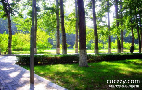 中國傳媒大學在職研究生同等學力申碩可以獲得哪些證書?