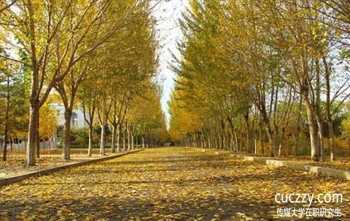 傳媒大學在職研究生在職研究生學費高不高?