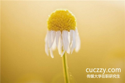 參加中國傳媒大學在職研究生最后一定能拿到證書嗎？