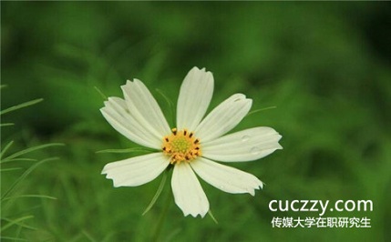 中國傳媒大學在職研究生考試成績可以保留嗎?